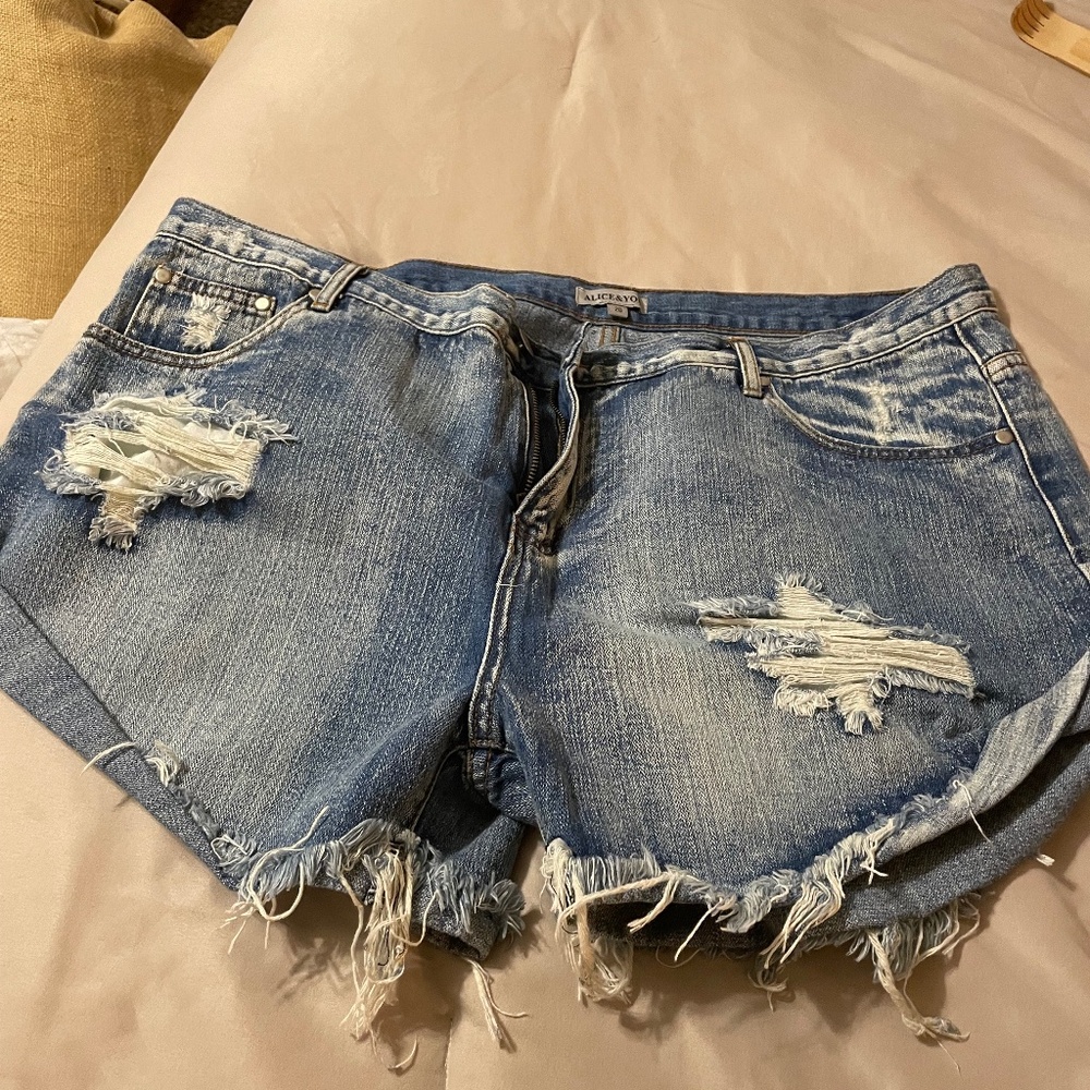 Denim shorts NWOT
